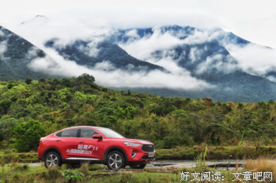 《爱在哈佛》经典读后感有感