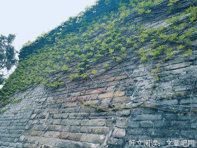 笑忘烦恼，铭记温暖