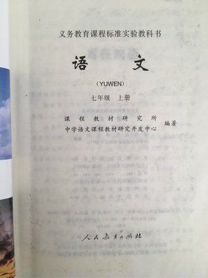 中二句子大全