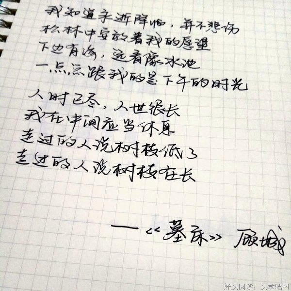顾城的诗殇