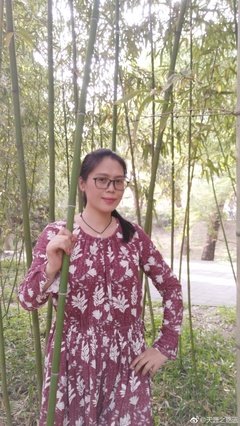 《逆风如解意》的句子