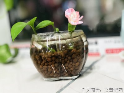 有关遇见的句子