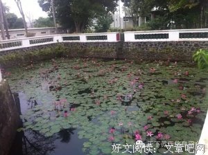 关于苏南的句子