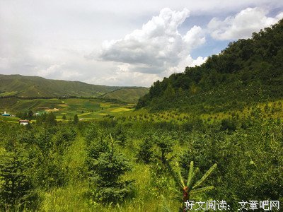 黎夕旧梦的优美句子