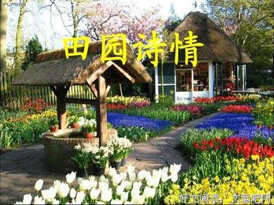 诗情词景
