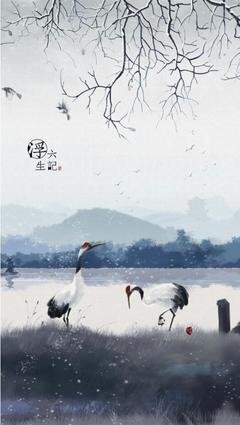 太上布衣经典语录