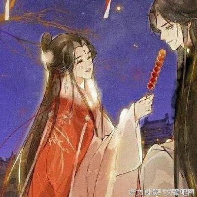 《黑莲花攻略手册》读后感100字