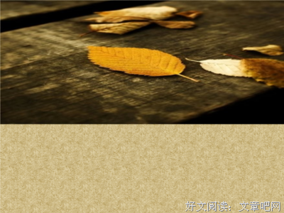 野葫芦引读后感锦集