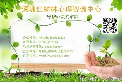 红树林读后感摘抄