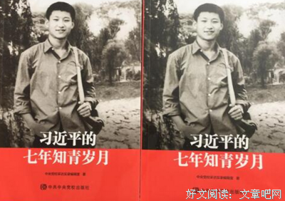 針的誘惑读后感1000字