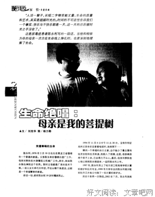 《我的菩提树》读后感摘抄