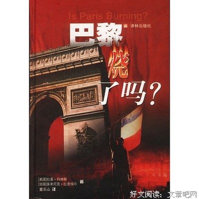 《巴黎烧了吗？》读后感1000字
