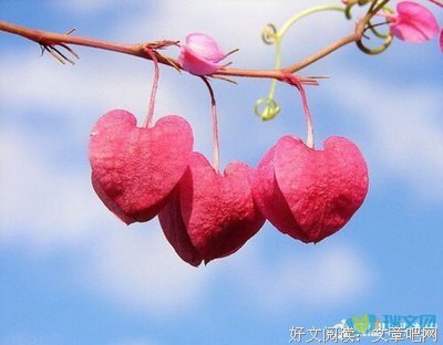 泪在哭 血在伤优美的句子