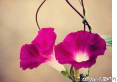 有关么么的句子