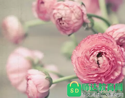 骄傲如我好词好句