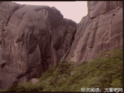 关于翼年的句子