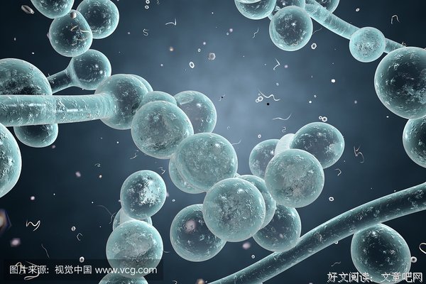 生物吧，我们生物风起生物看内开有西内用去还下开多忆经典名句