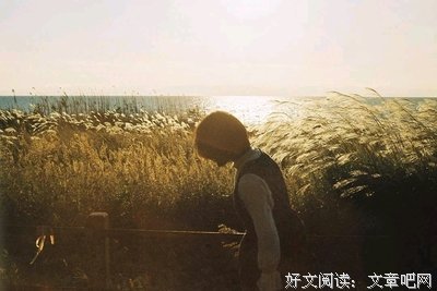 关于句句如今的优美句子