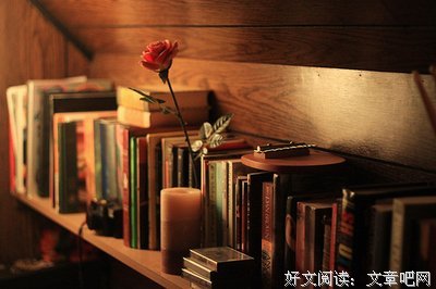 最经典的《愿好》好段摘抄大全