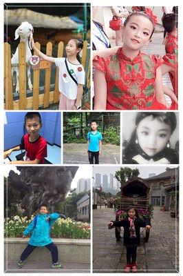 书法的形态与阐释读后感摘抄