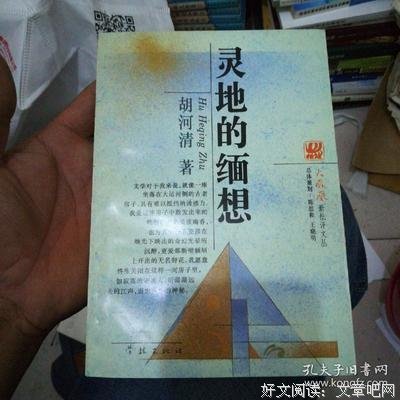 《灵地的缅想》读后感100字