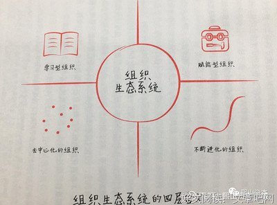 《礼物》的读后感大全