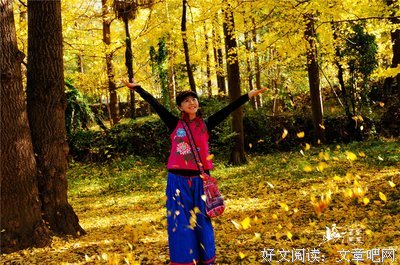 驼峰航线读后感锦集