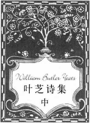 《叶芝诗集（上中下）》读后感100字