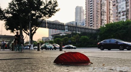 陌生人日记读后感100字