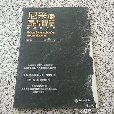 尼采的智慧读后感摘抄