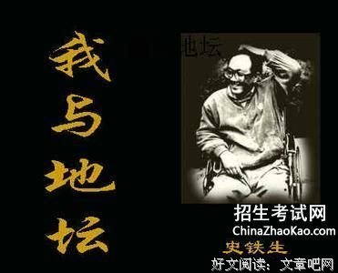 也许星星会带走你的悲伤的读后感大全