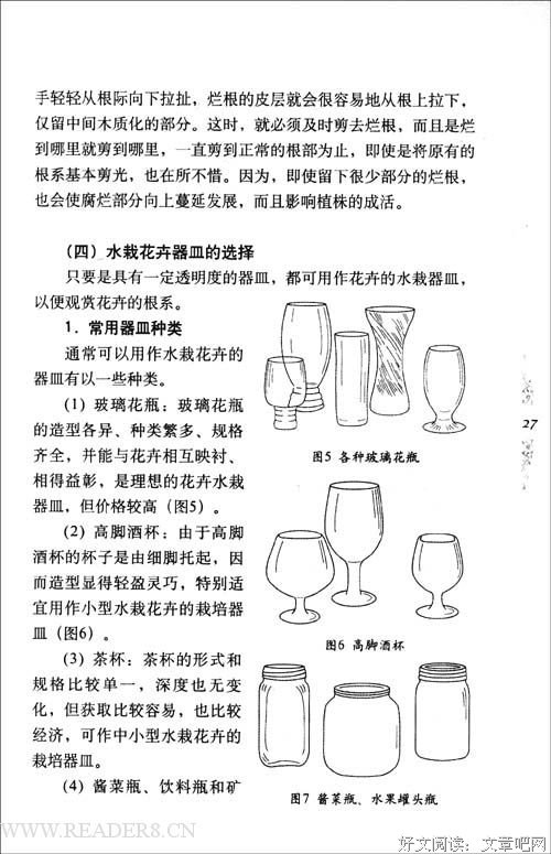 秋海棠读后感精选