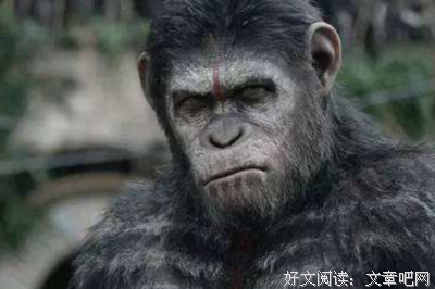 《爸爸去哪儿》观后感精选