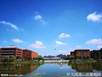 《象牙塔》的观后感大全