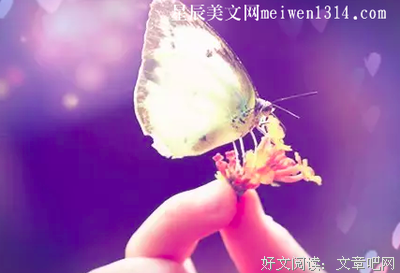 浓墨醉人的优美句子