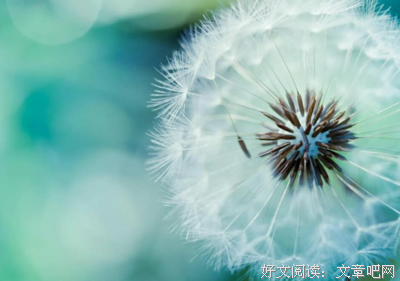 年华似再月名句欣赏