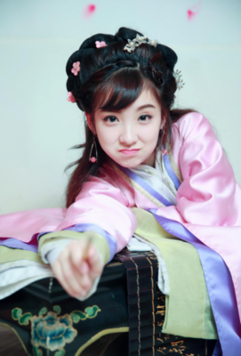 小詹子句子