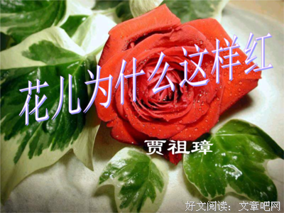 会发在好虞经典的句子