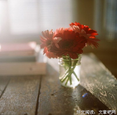 似比了流年，诗意翩翩