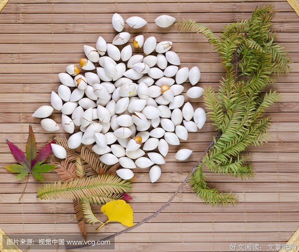 有关白果经典句子