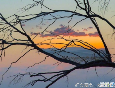 《自律为生成看》经典语句大全