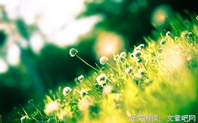 人和人之间，最长久的关系！