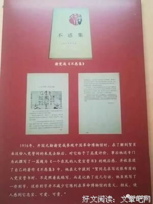 《不惑》经典观后感有感