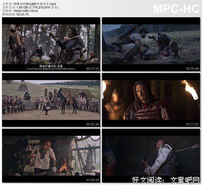 《驯鹰者的崛起》经典影评有感