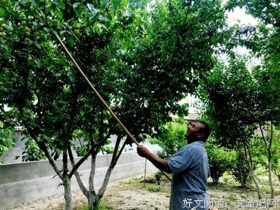 《幸福美丽绽放》观后感精选