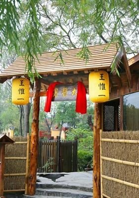 《天下第一针》的影评大全
