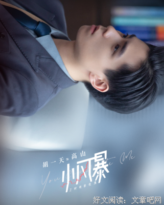 《小风暴之时间的玫瑰》观后感精选