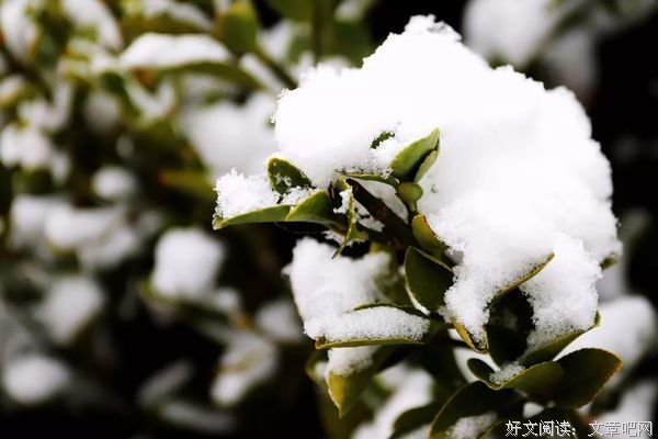 岁月不堪数，转眼又一冬