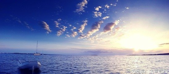 《生命是什么》经典读后感有感