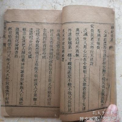 《救劫》读后感100字